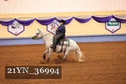 21YN_36994 thumbnail