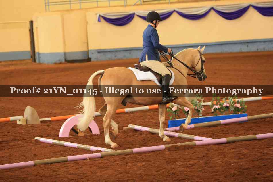 Proof Number 21YN_01145