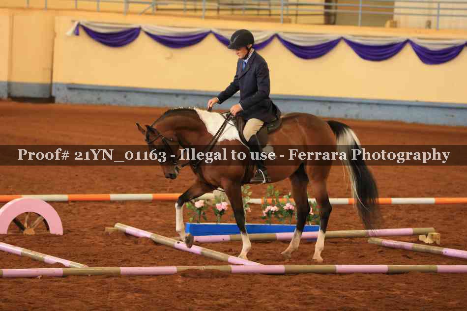 Proof Number 21YN_01163