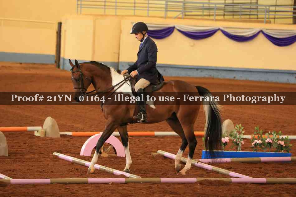 Proof Number 21YN_01164