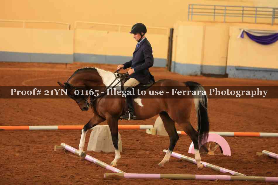 Proof Number 21YN_01165