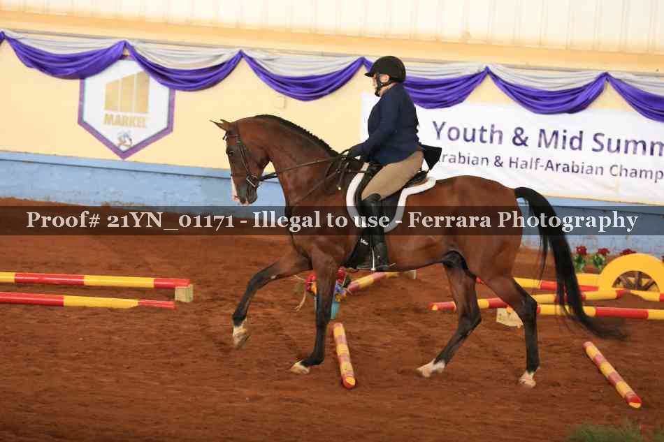 Proof Number 21YN_01171