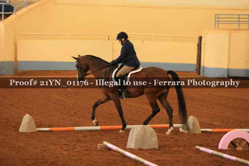Proof Number 21YN_01176