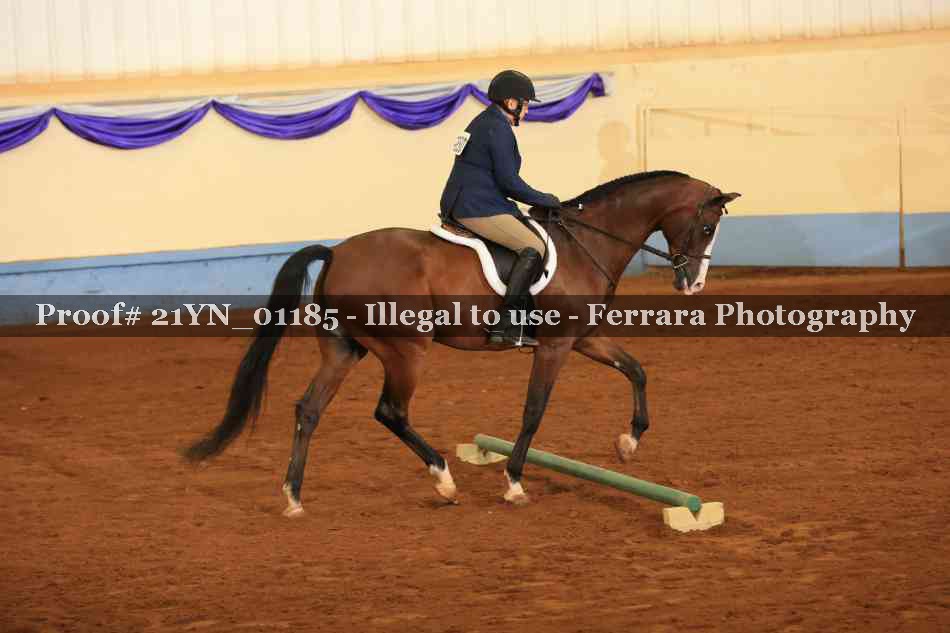 Proof Number 21YN_01185