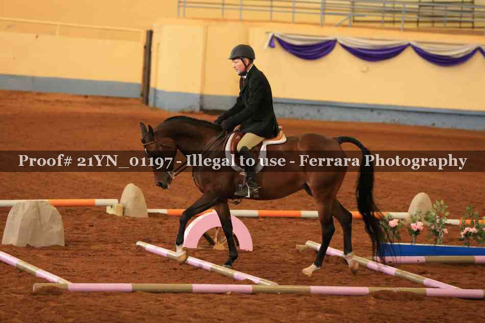 Proof Number 21YN_01197