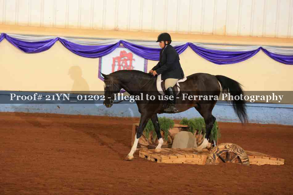 Proof Number 21YN_01202