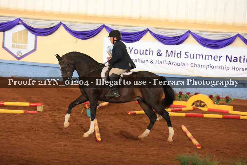 Proof Number 21YN_01204