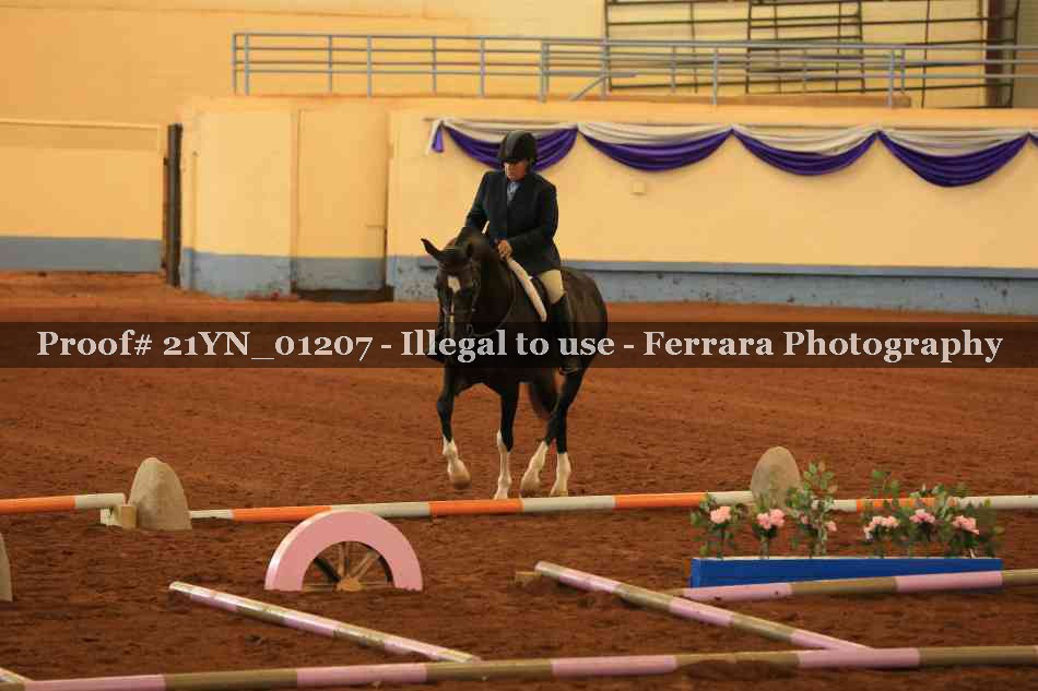 Proof Number 21YN_01207