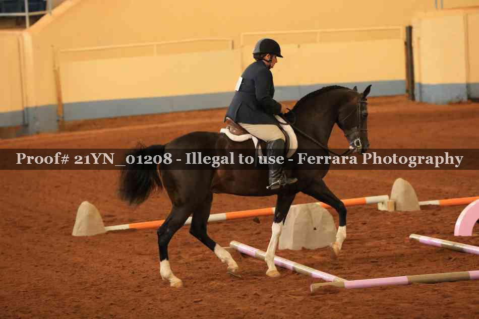 Proof Number 21YN_01208