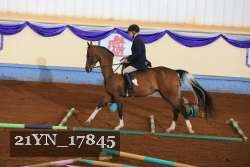 21YN_17845 thumbnail