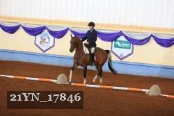 21YN_17846 thumbnail