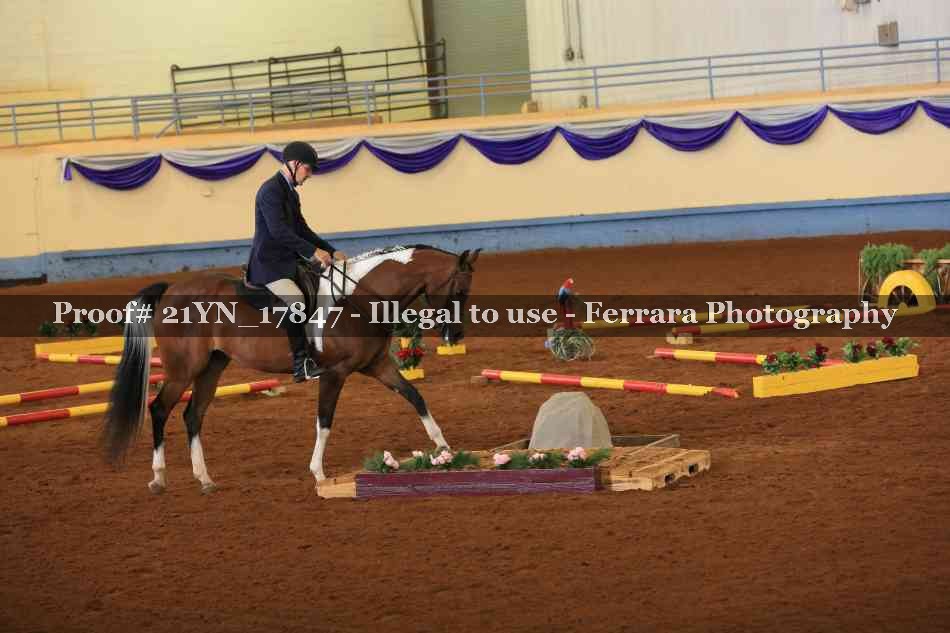 Proof Number 21YN_17847