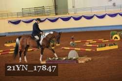 21YN_17847 thumbnail