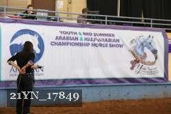 21YN_17849 thumbnail