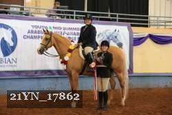 21YN_17862 thumbnail