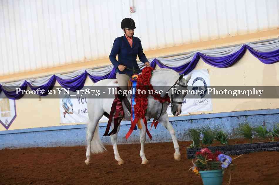 Proof Number 21YN_17873