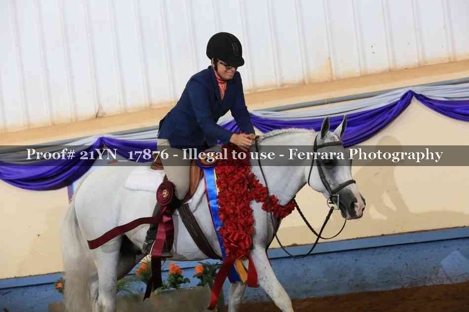 Proof Number 21YN_17876