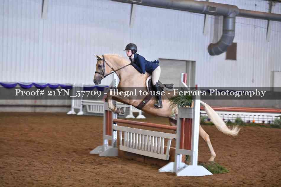 Proof Number 21YN_57709