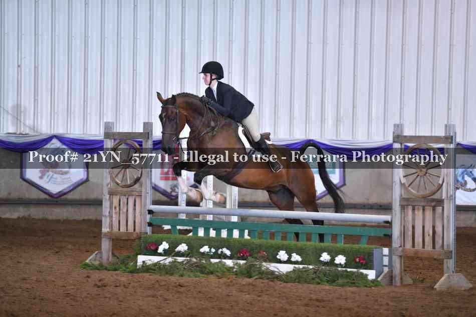 Proof Number 21YN_57711