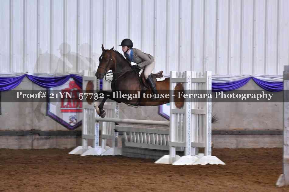 Proof Number 21YN_57732