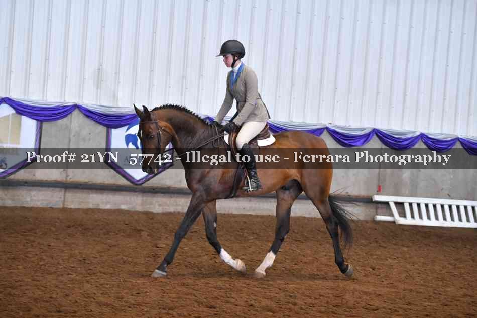 Proof Number 21YN_57742