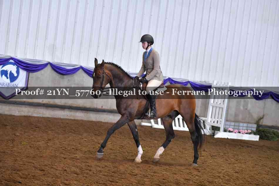 Proof Number 21YN_57760