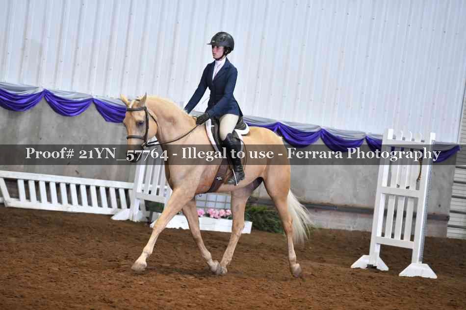 Proof Number 21YN_57764