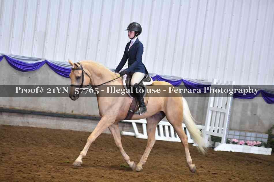 Proof Number 21YN_57765
