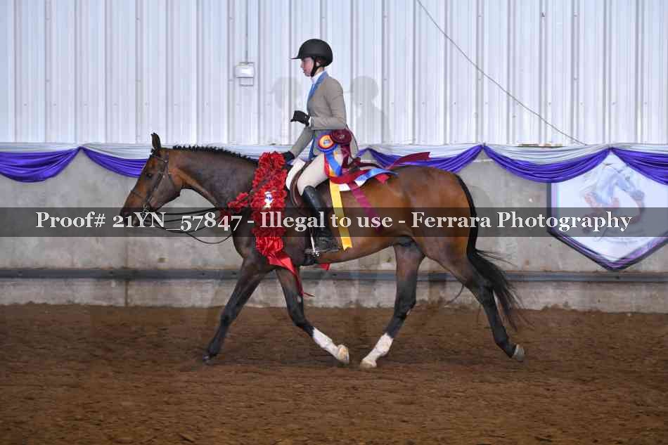 Proof Number 21YN_57847