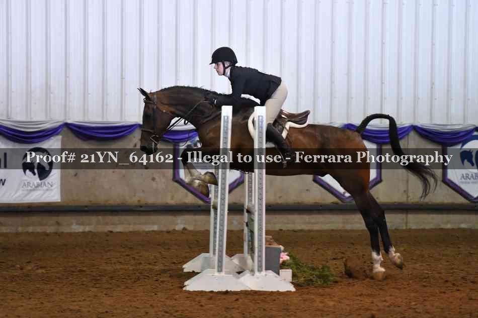 Proof Number 21YN_64162