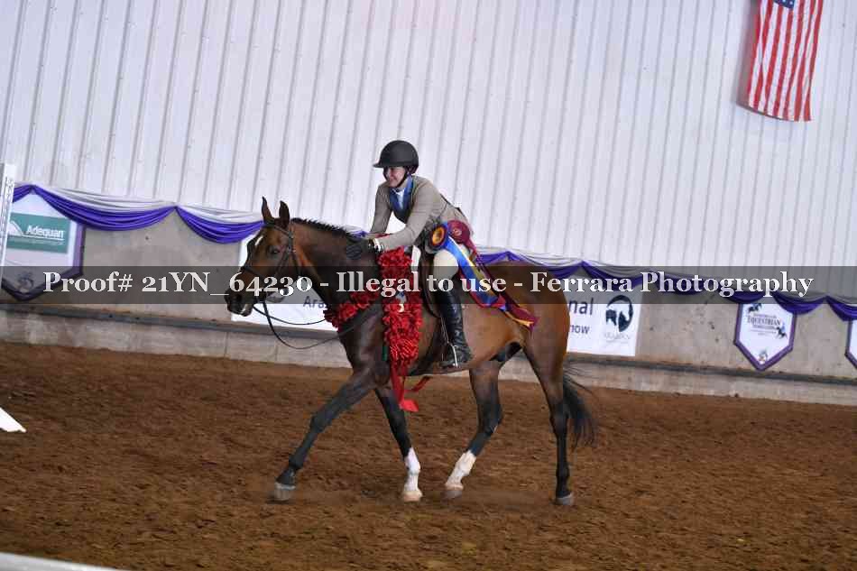 Proof Number 21YN_64230