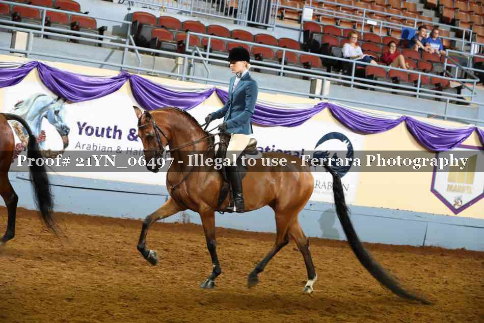 Proof Number 21YN_06497