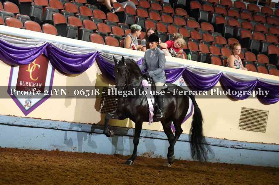 Proof Number 21YN_06518