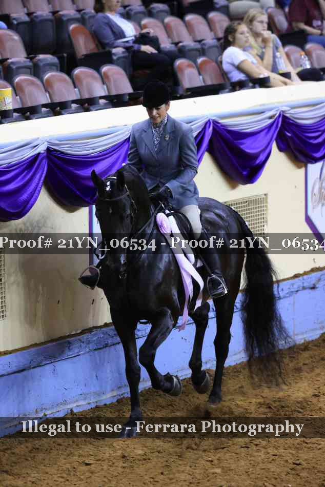 Proof Number 21YN_06534
