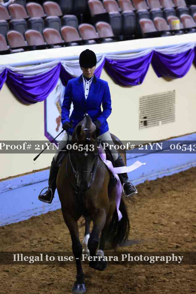 Proof Number 21YN_06543