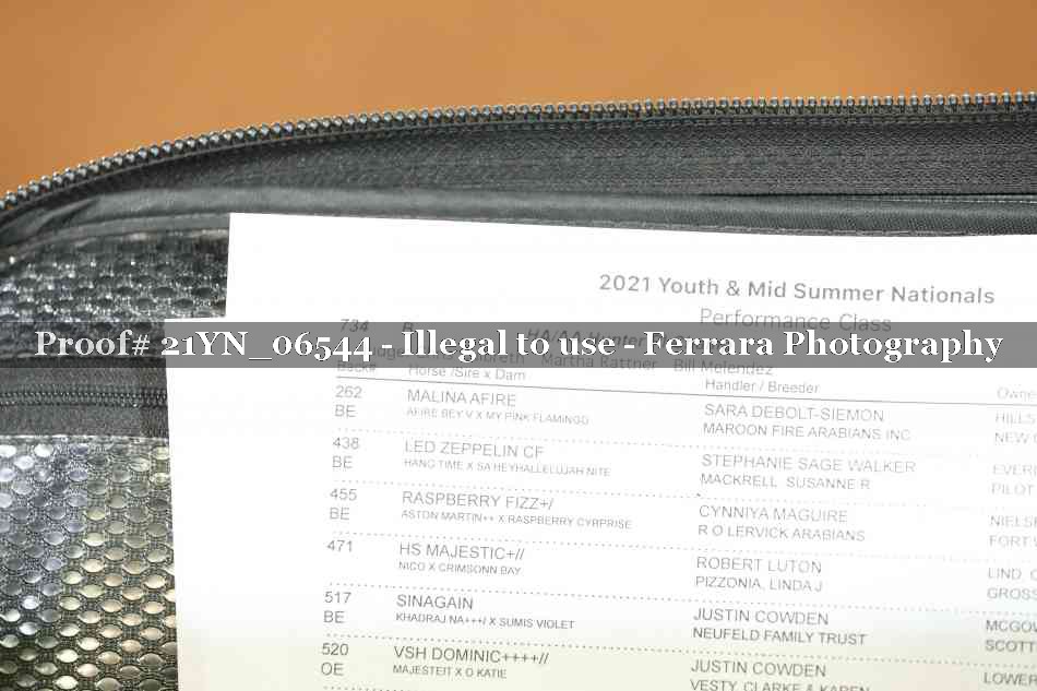 Proof Number 21YN_06544