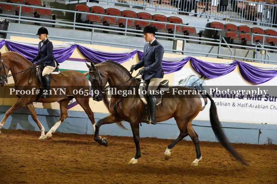 Proof Number 21YN_06549
