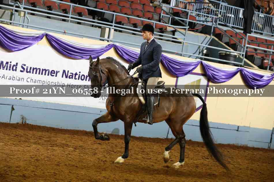 Proof Number 21YN_06558