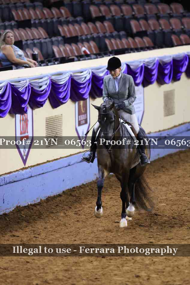 Proof Number 21YN_06563