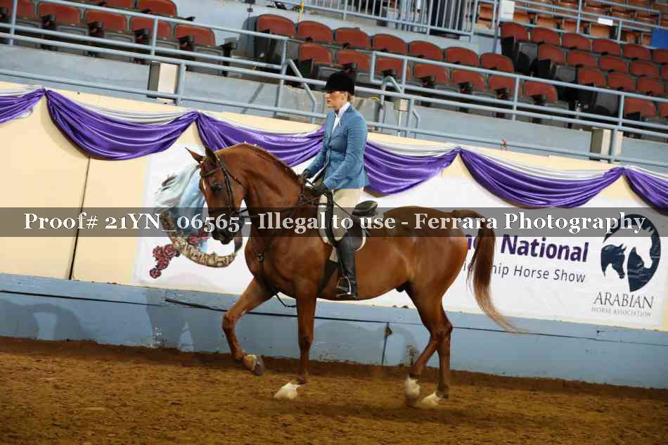 Proof Number 21YN_06565