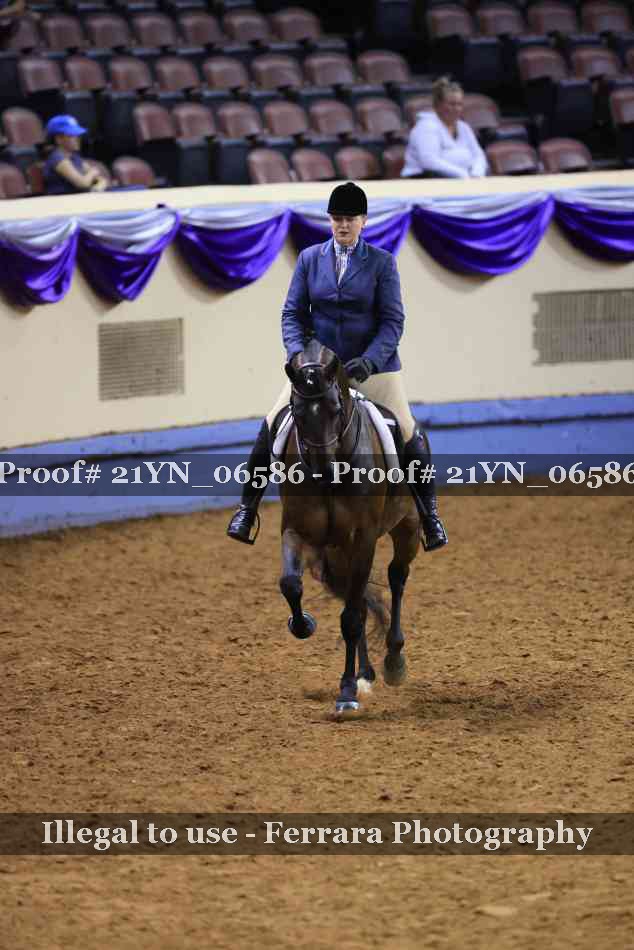 Proof Number 21YN_06586