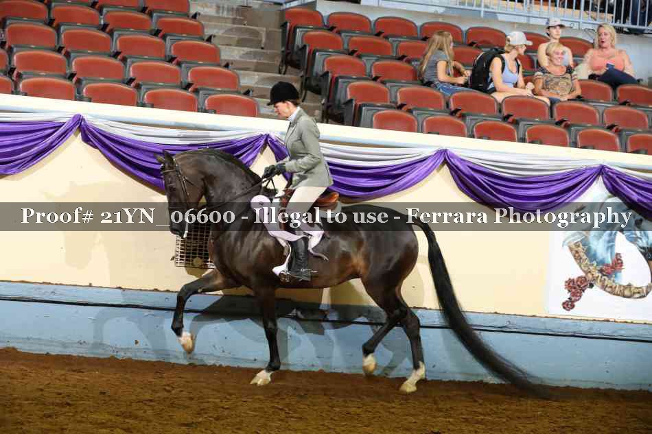 Proof Number 21YN_06600