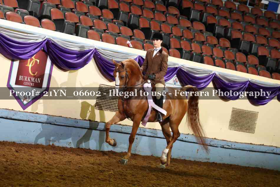 Proof Number 21YN_06602