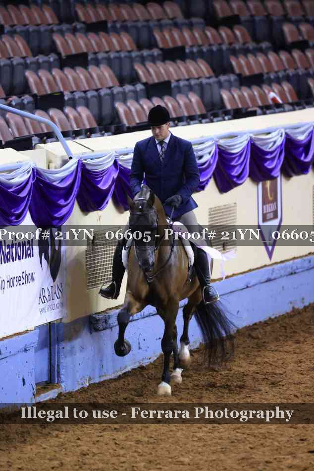 Proof Number 21YN_06605