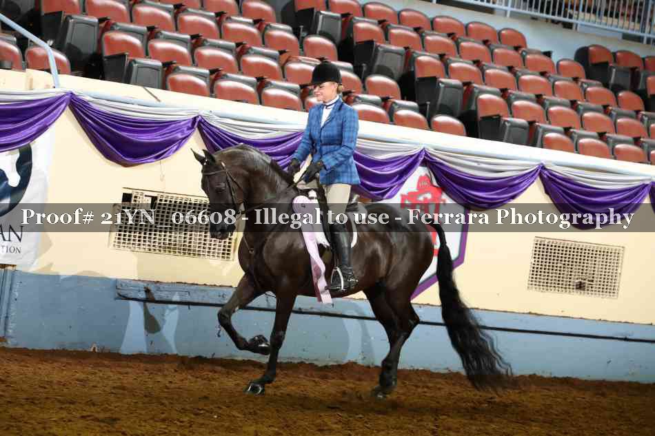 Proof Number 21YN_06608