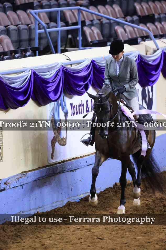 Proof Number 21YN_06610