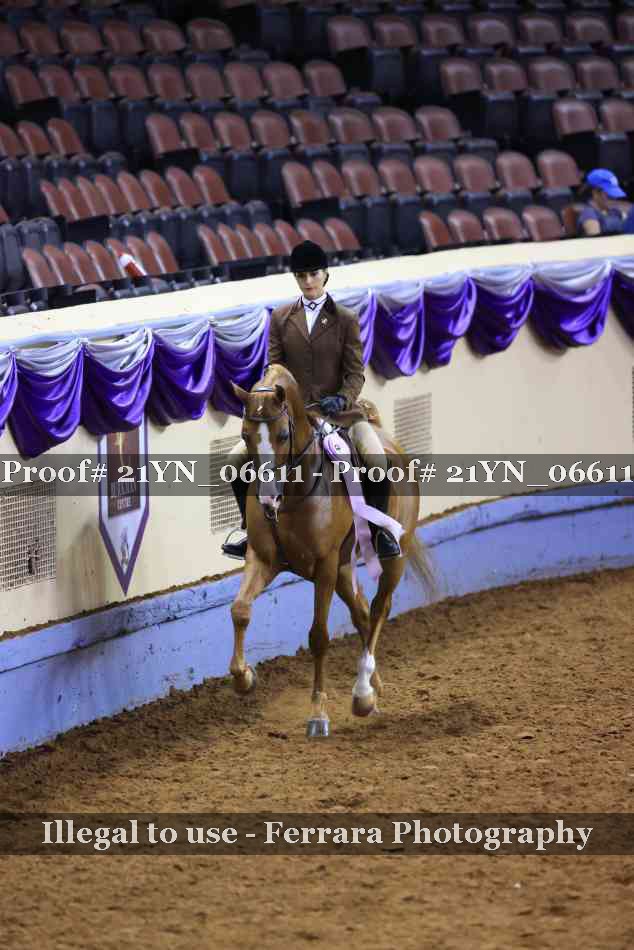 Proof Number 21YN_06611