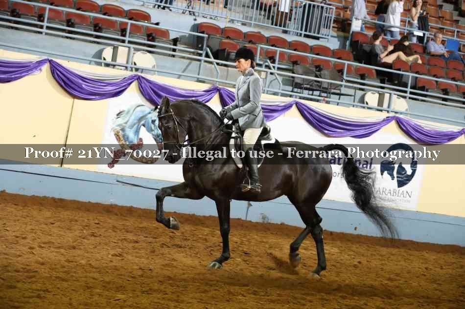 Proof Number 21YN_70027
