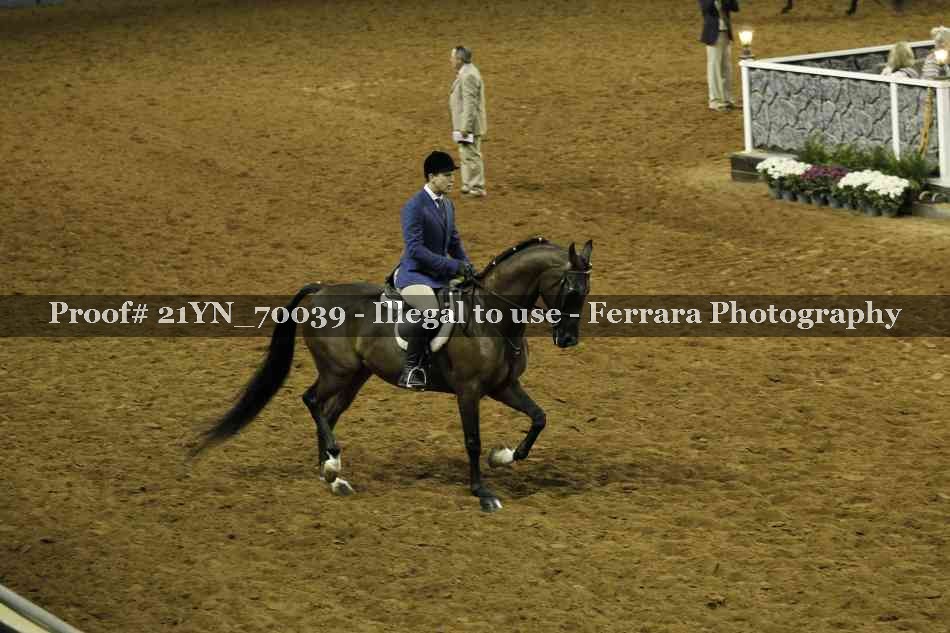 Proof Number 21YN_70039