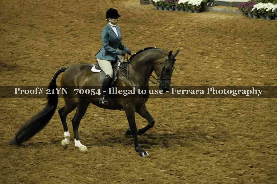 Proof Number 21YN_70054